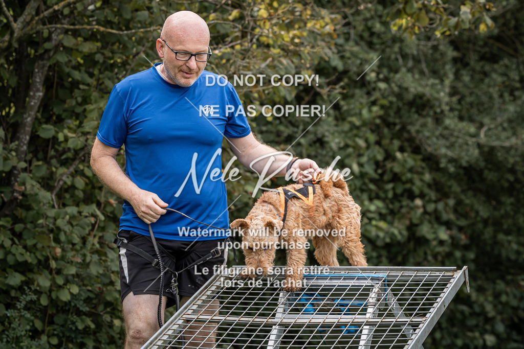 nelerasche_SoLauf_142 | nelerasche