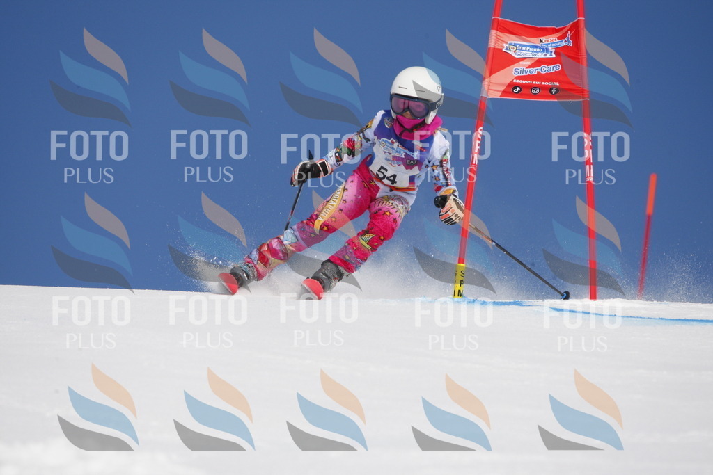 _W1G0798 | holidayphoto