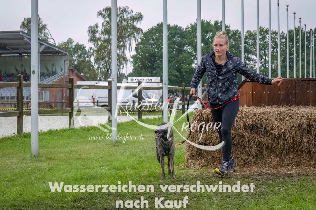 1211--15 | kk-dogfotos