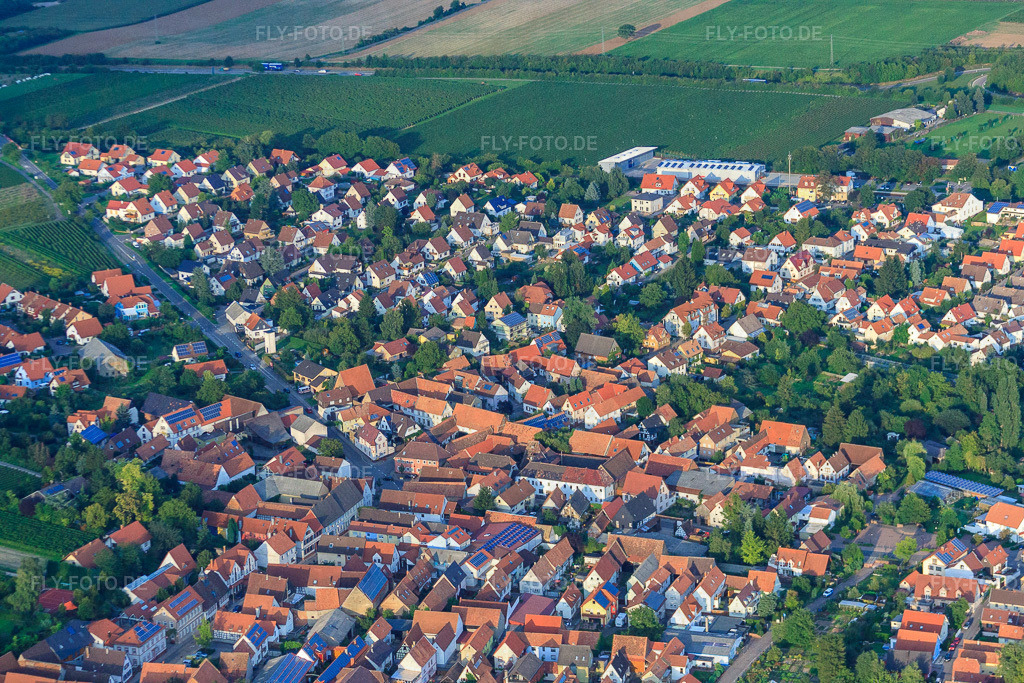 Offenbacher Straße | Luftbild: Offenbacher Straße in Insheim im Bundesland Rheinland-Pfalz in Deutschland. Foto: IMG_32924.jpg vom 03.09.2010 durch Werner Riehm/FLY-FOTO.de - Realisiert mit Pictrs.com