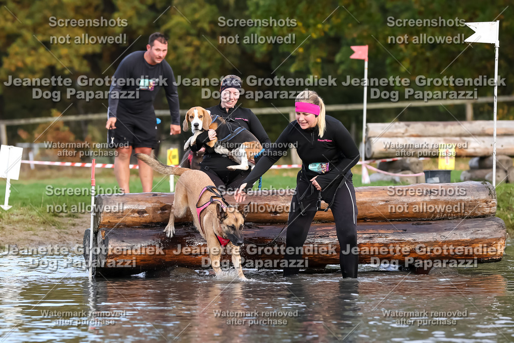 Dog Paparazzi - Strongdog 10-25-6979 | Dog Paparazzi Jeanette Grottendiek Fotografie & Videografie - Realisiert mit Pictrs.com