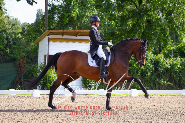 DKP41564 | Deine Turnierfotos vom Reitturnier online kaufen: Dressur, Springen & Siegerehrung. Professionelle Pferdefotografie aus dem Rheinland – als Download & Print.Alternative: Turnierfotograf für den Pferdesport: Finde deine Fotos von Dressur- und Springturnier