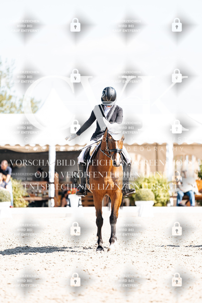 CK903652 | Turnierfotografie Pferdefotografie Trier Rheinland-Pfalz Pferdesport Reitsport Tierfotografie Sportfotografie Pferdevideo Pferdevideografie Equestrianvideography equestrianphotography  - Realisiert mit Pictrs.com