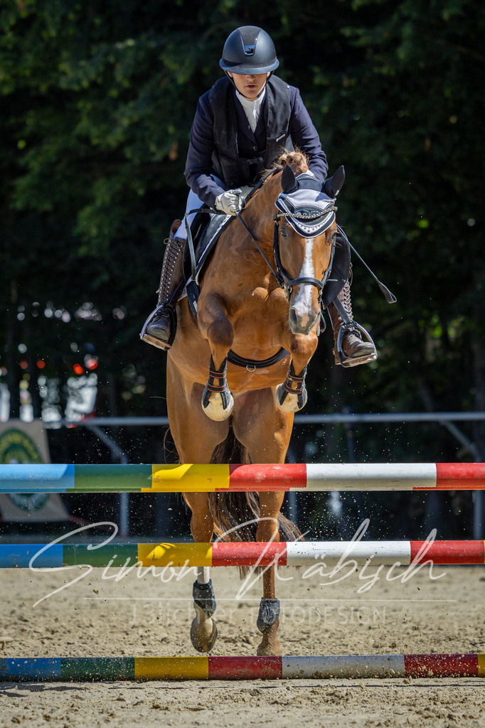 20260704-_3LI7740 | Tierfotografie Pferde, Hunde, Katzen, Haustiere.
Turnierfotografie Reitturniere, Reiten, Springreiten, Dressur in Hanau, dem Main-Kinzig-Kreis und dem Rhein-Main- Gebiet um Frankfurt