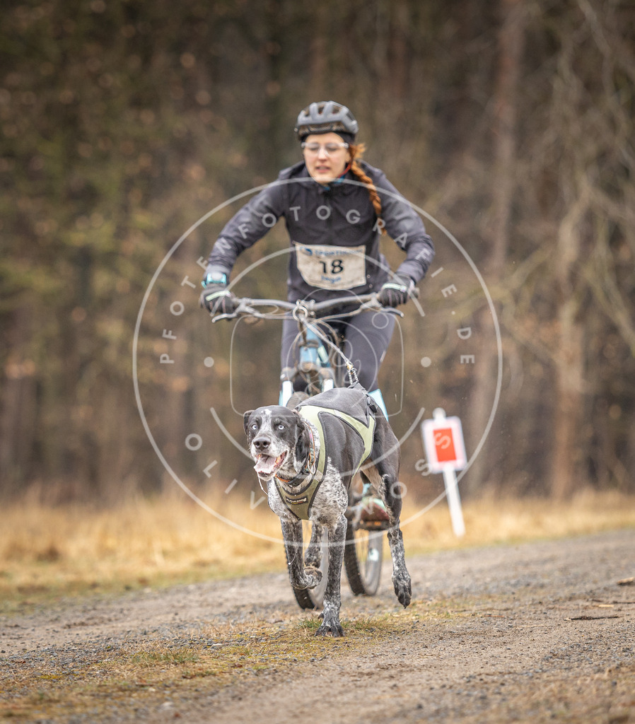 DV3A3215 | Hundefotografie, Tierfotograf, Pfotenfotografie, Fotoshooting Hund, Hunde Portrait, Hundesport, Hundeportraits, Heideshooting, Hunde, Sportfotograf, Hundefotograf, Turnierhundsport, THS,  - Realisiert mit Pictrs.com