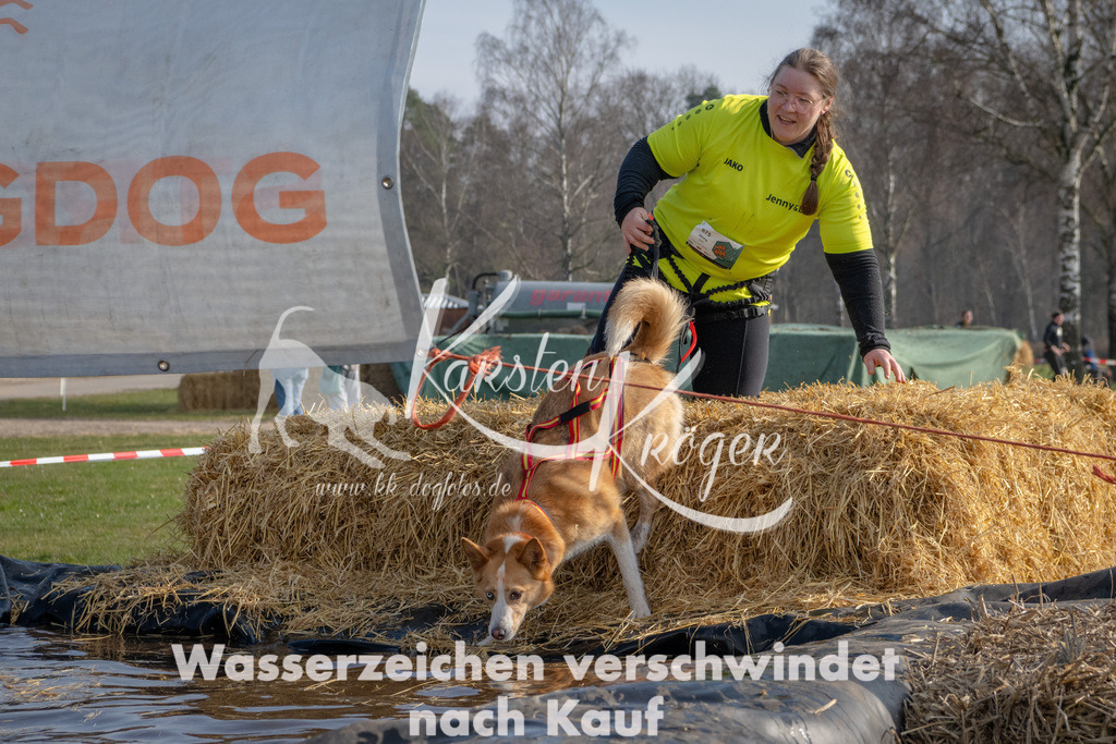 _ZZ90218 | kk-dogfotos