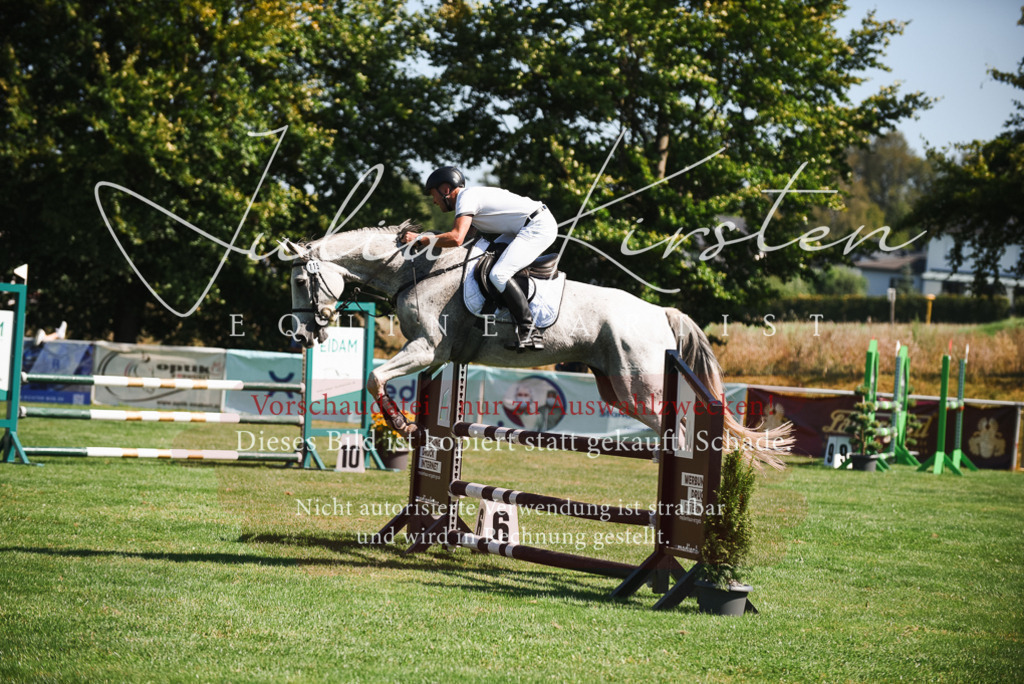DSC_2702 | Pferde- und Turnierfotografie in Westsachsen. Pferdeportraits, Auftragszeichnungen und intuitive Kunst.