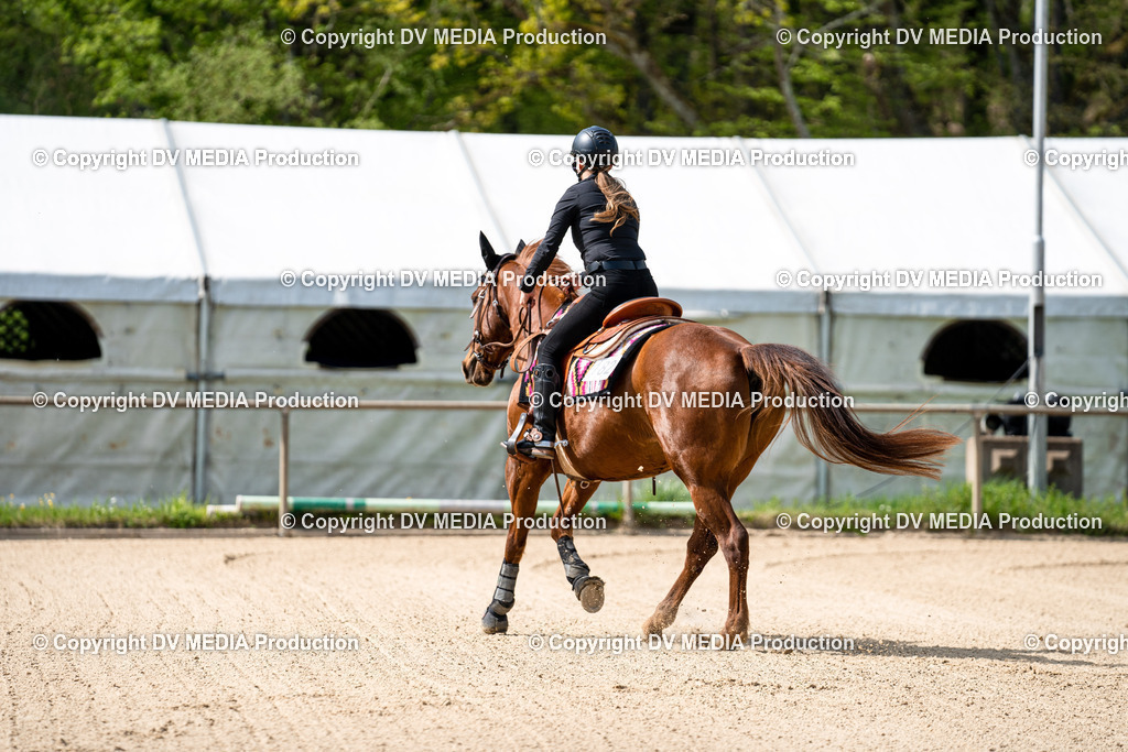 Heiligenwald Tag 2-890 | dv-media-shop - Realisiert mit Pictrs.com