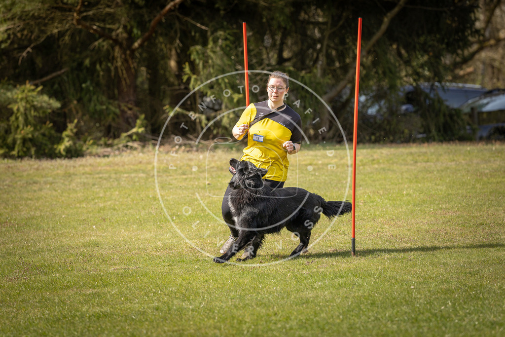 Pfotenfotografie_DV3A0071 | Hundefotografie, Tierfotograf, Pfotenfotografie, Fotoshooting Hund, Hunde Portrait, Hundesport, Hundeportraits, Heideshooting, Hunde, Sportfotograf, Hundefotograf, Turnierhundsport, THS,  - Realisiert mit Pictrs.com