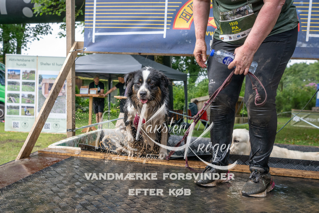 1034_ZZ91318 | kk-dogfotos