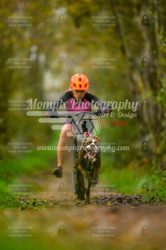 MompixPhotography_20TSB_E6_DS1-70 | PayLife