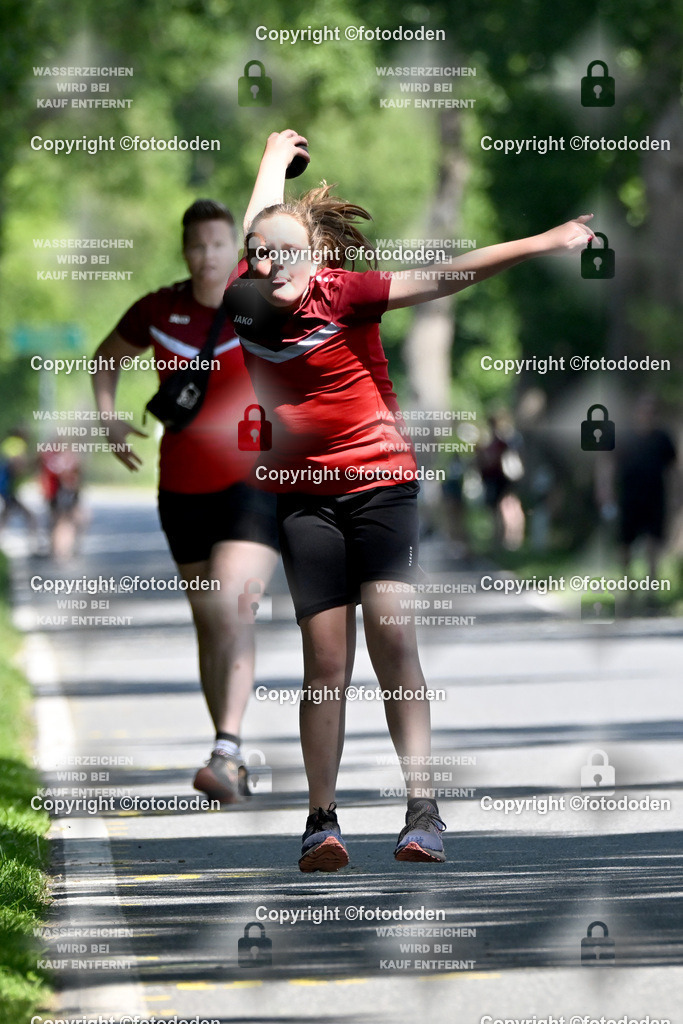 DSC_1212 | Johanna Runge / Schweinebrück / wJD Holz