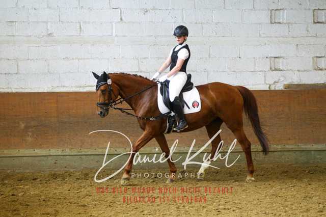 DKP43923 | Turniersportfotografie; Pferdefotografie; Dressurfotografie