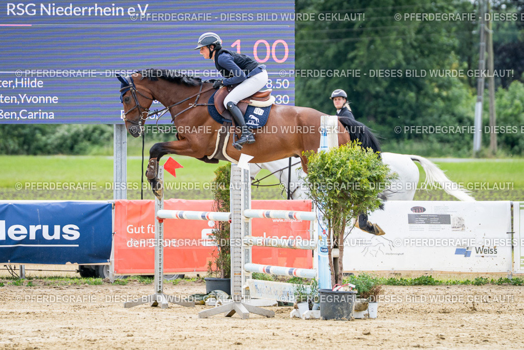 DSC05177 | Pferdegrafie