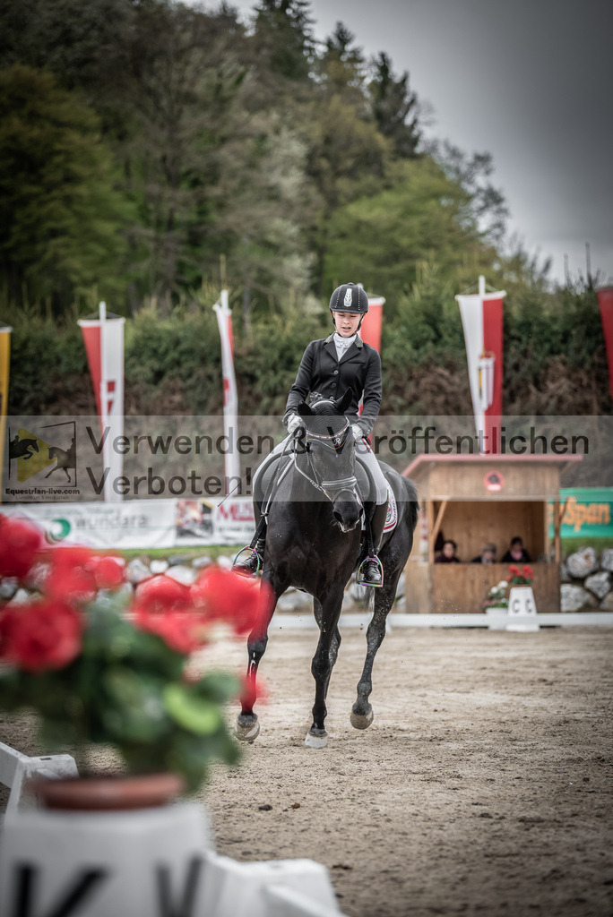 DSC_9496 | equestrian-live-com