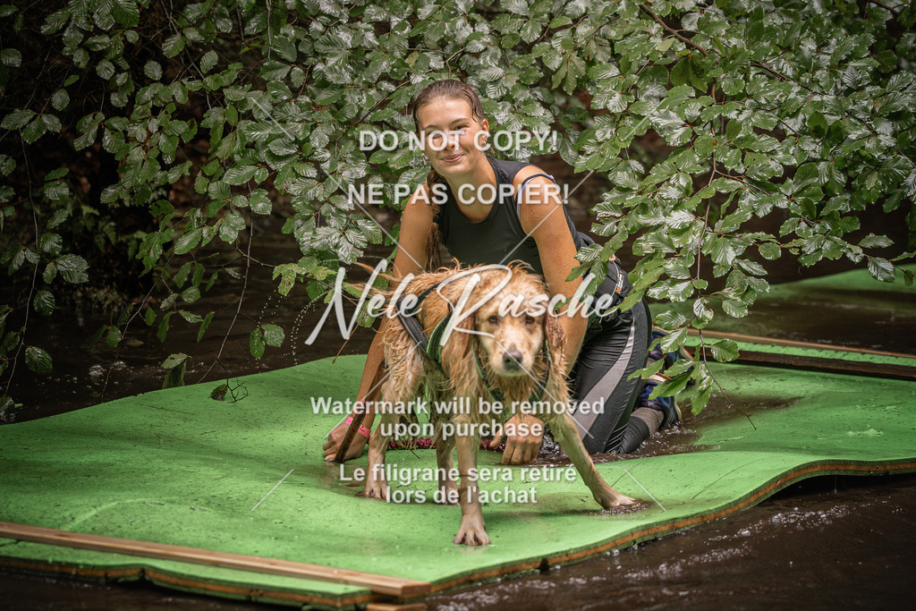 nelerasche_Wingst_Sa1330-1400_334 | nelerasche