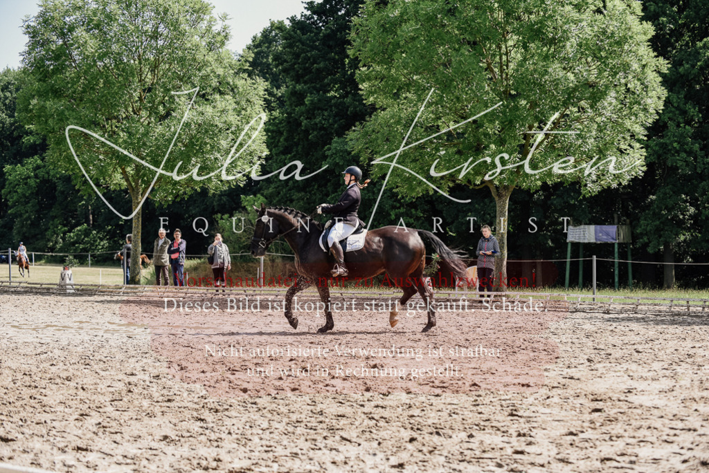 DSC_0189 | Pferde- und Turnierfotografie in Westsachsen. Pferdeportraits, Auftragszeichnungen und intuitive Kunst.