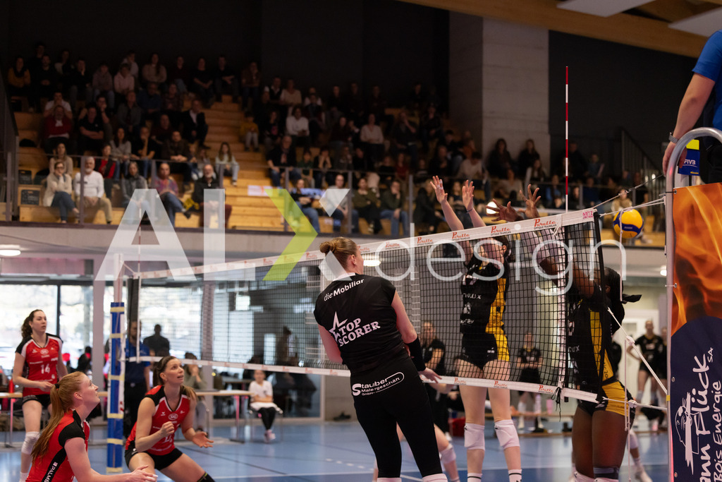Volleyball I Frauen I Saison 2025-2026 I Volleyball NLA | Women I 1/4 Finals I  BIWI VFM - VC Kanti Schaffhausen I 01.03.2026 | 9 Jordan Lockwood (USA) (VC Kanti Schaffhausen) – Diagonal - Realisiert mit Pictrs.com