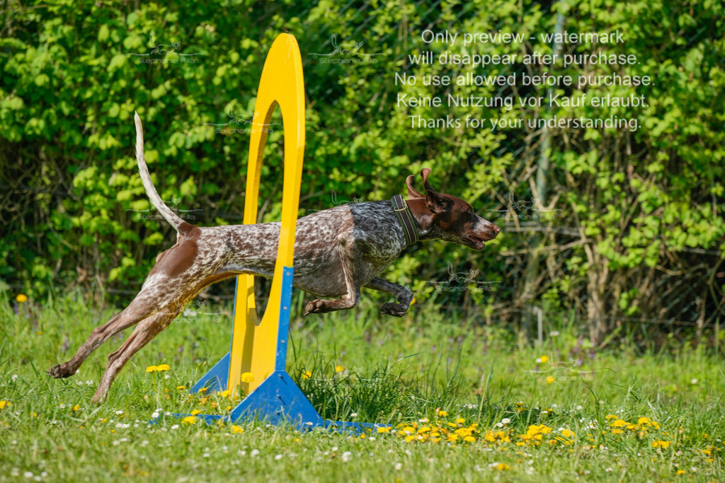 Sa_SprintVK_Gr2_03-55 | stephaniefillaphotographie - Realisiert mit Pictrs.com