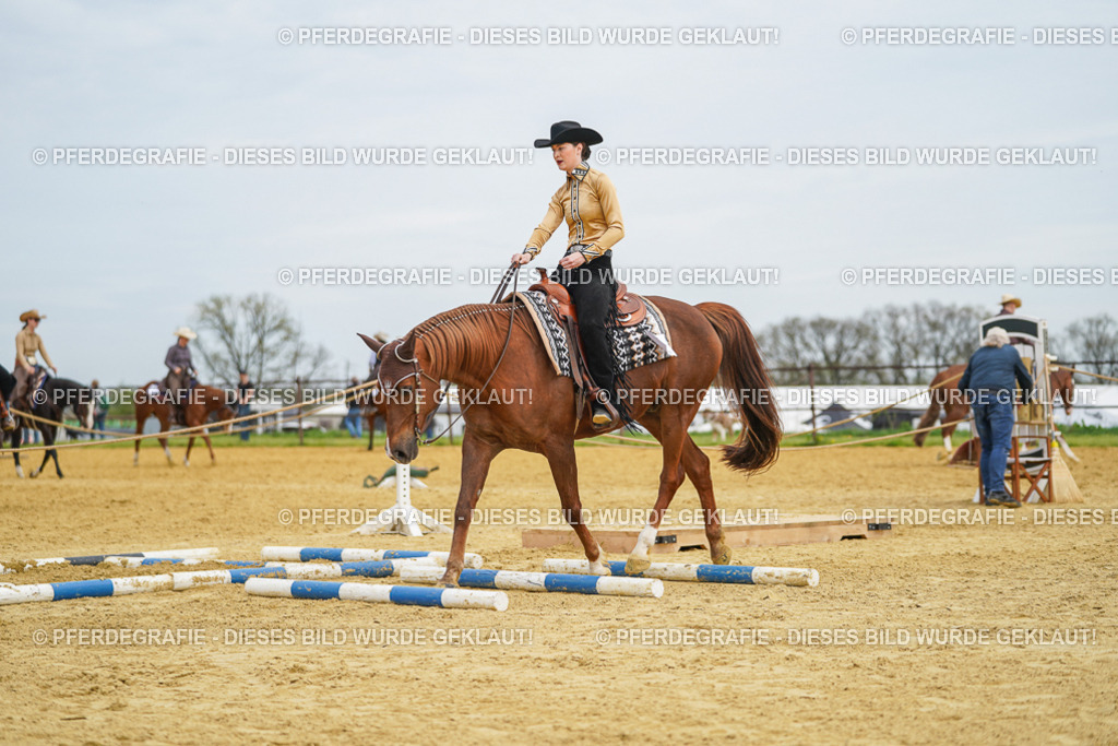 DSC03344 | Pferdegrafie