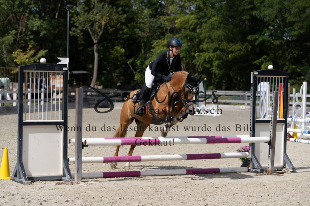A7V07416 | Turnier/Reitfotograf