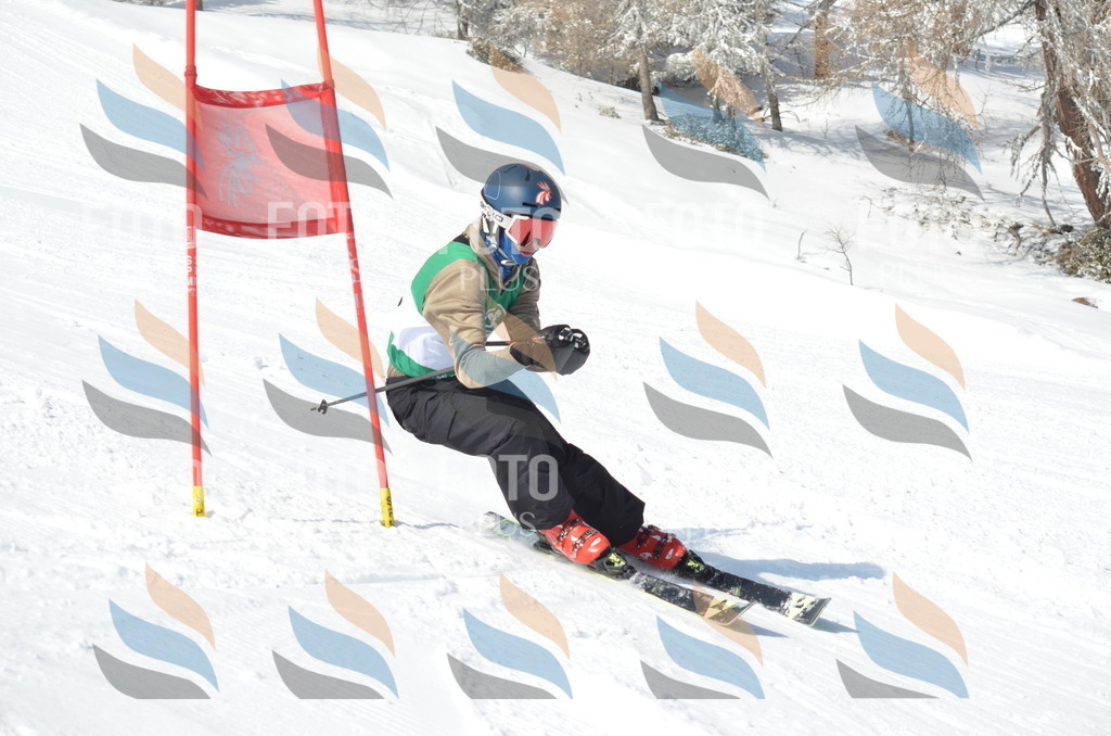 D9145 | holidayphoto