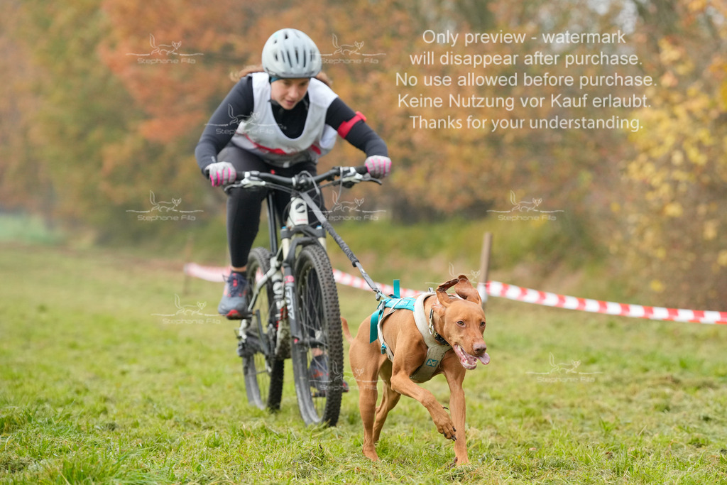 Visbeck_Sa_Bike-173 | stephaniefillaphotographie - Realisiert mit Pictrs.com