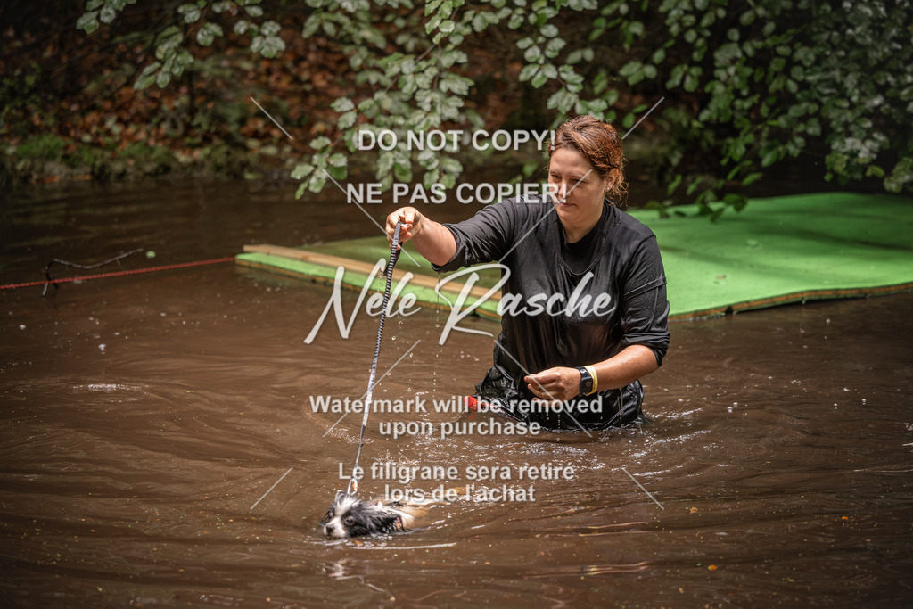 nelerasche_Wingst_Sa1330-1400_317 | nelerasche