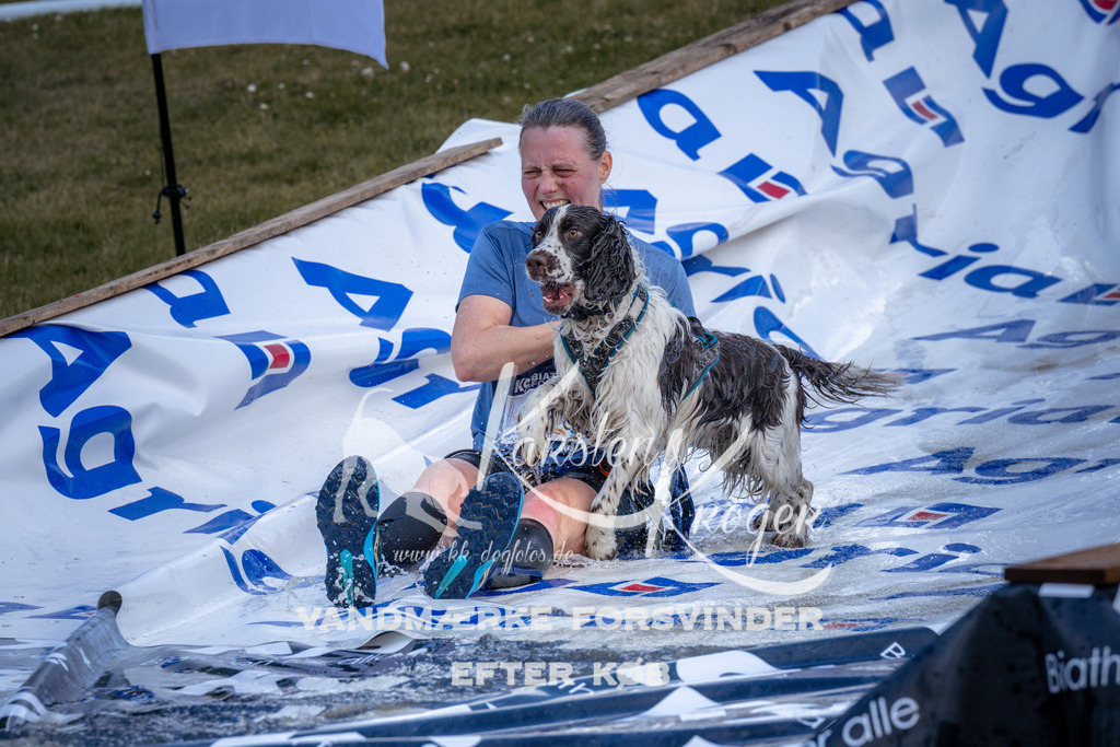 _ZZ921310922 | kk-dogfotos