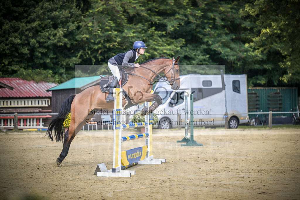 DOS_5313 | Entdecke hochwertige Reitturnierfotos von Foto Oger. Professionell, emotional und authentisch – jetzt Lieblingsmomente im Shop bestellen.Deutschlandweite Turnierfotografie. - Realisiert mit Pictrs.com
