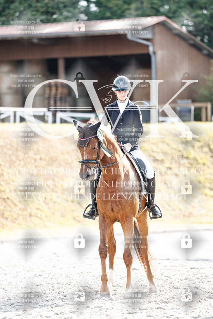 CK901754 | Turnierfotografie Pferdefotografie Trier Rheinland-Pfalz Pferdesport Reitsport Tierfotografie Sportfotografie Pferdevideo Pferdevideografie Equestrianvideography equestrianphotography  - Realisiert mit Pictrs.com