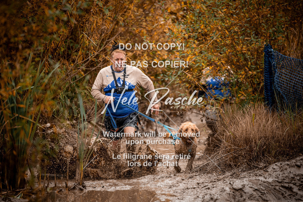 nelerasche_Creepy2025_Sa10-11_59 | nelerasche