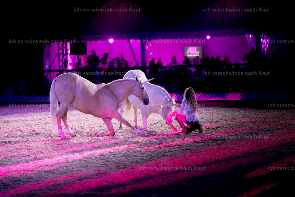 Gala-423 | working equitationturnier fotograf videograf stoibphotography marixx film working equitation deutschland reitsport turnierfotografie eventfotografie equestrian events