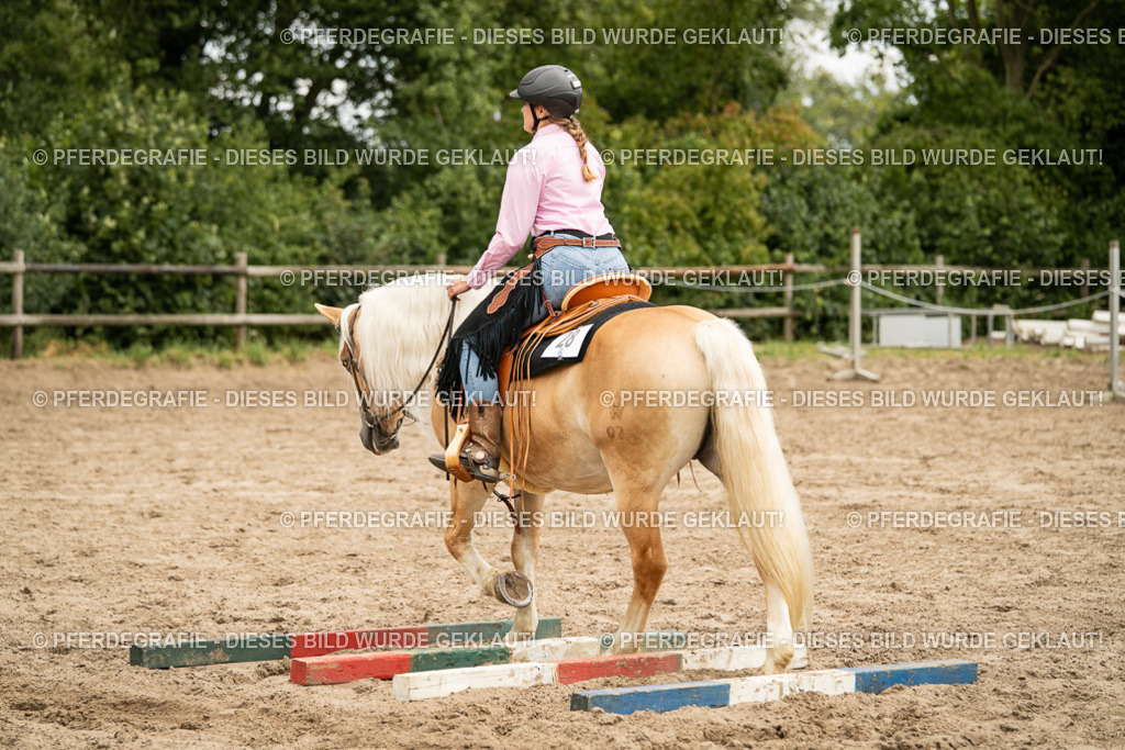 DSC00699 | Pferdegrafie