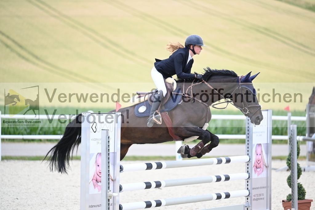 DSC_4447 | equestrian-live-com