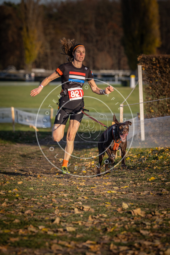 CaniXpix_DV3A3274 | Hundefotografie, Tierfotograf, Pfotenfotografie, Fotoshooting Hund, Hunde Portrait, Hundesport, Hundeportraits, Heideshooting, Hunde, Sportfotograf, Hundefotograf, Turnierhundsport, THS,  - Realisiert mit Pictrs.com