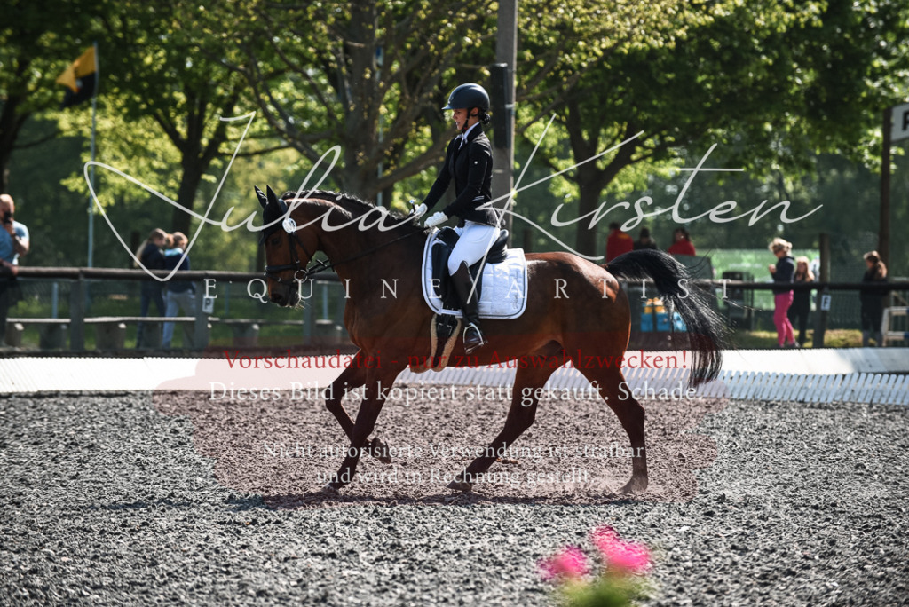DSC_8936 | Pferde- und Turnierfotografie in Westsachsen. Pferdeportraits, Auftragszeichnungen und intuitive Kunst.