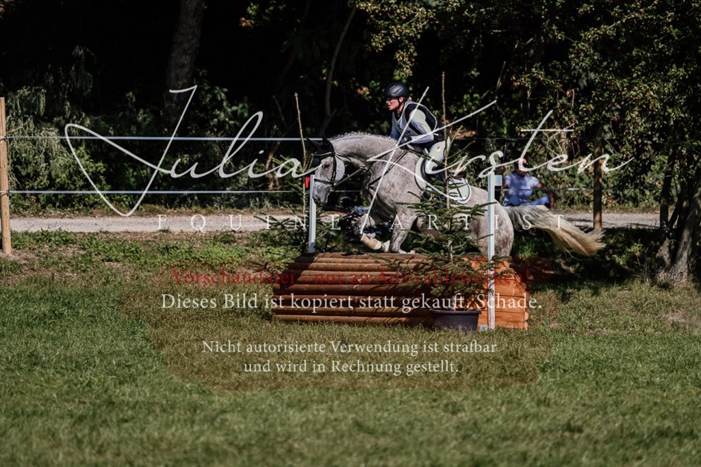 DSC_1390 | Pferde- und Turnierfotografie in Westsachsen. Pferdeportraits, Auftragszeichnungen und intuitive Kunst.
