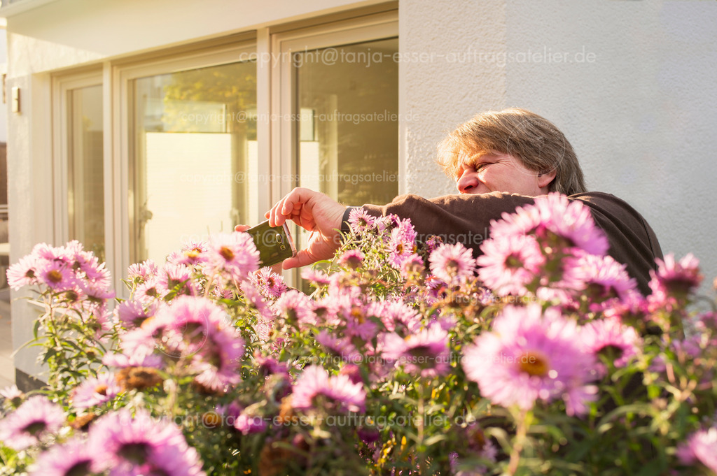 Blonder Mann fotografiert mit Smartphone Blumen und Insekten | Blonder Mann macht ein Foto mit dem Handy. Er fotografiert Insekten an den blühenden Herbstastern. Die Sonne steht schon tief. 