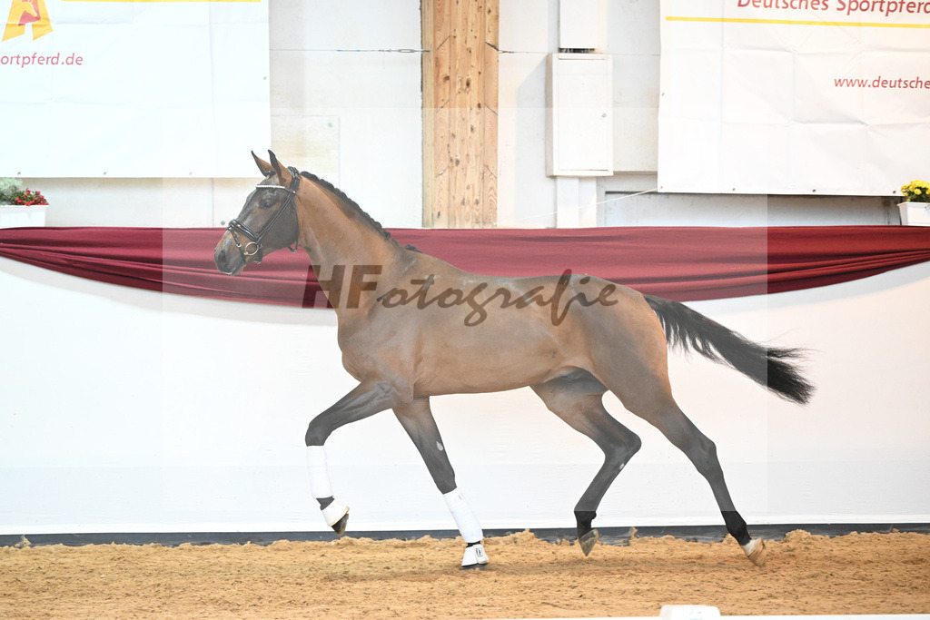Kat-Nr. 10 v. Bonds_Klenk u Schneider-Gaertner_66221726 | hf-fotografie - Realisiert mit Pictrs.com