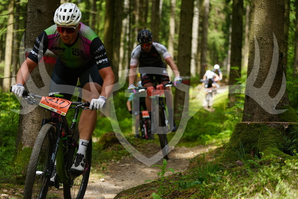 FC100269 | Fotogalerie der Treibjagd im Dunkelwald - Dein MTB Etappenrennen im Erzgebirge - Realisiert mit Pictrs.com