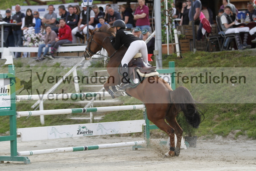 _MG_7647 | equestrian-live-com