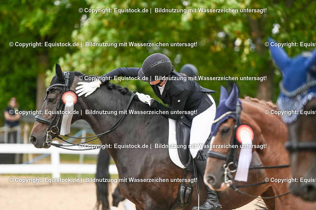 20230716_01_Dressurprüfung Kl.M_0680 | equistock