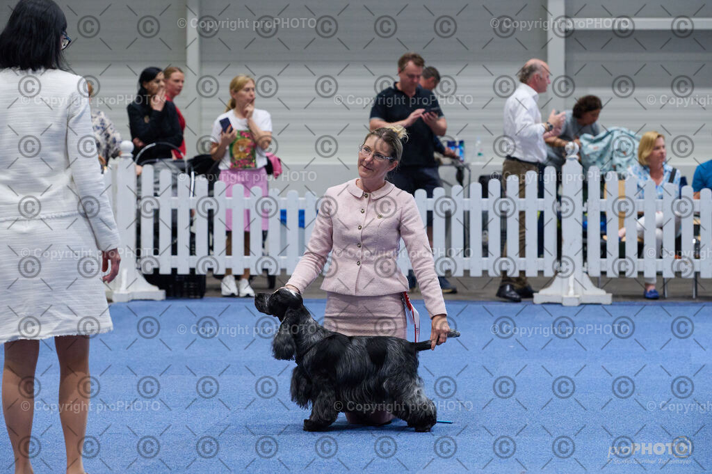 202406_ÖKV-IHA-Tulln24_DSC_5120 | proPHOTO - Realisiert mit Pictrs.com