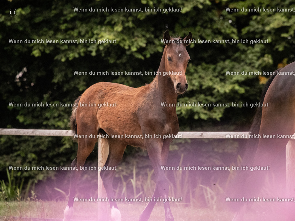 A10I7168 | photographylinaismer - Realisiert mit Pictrs.com