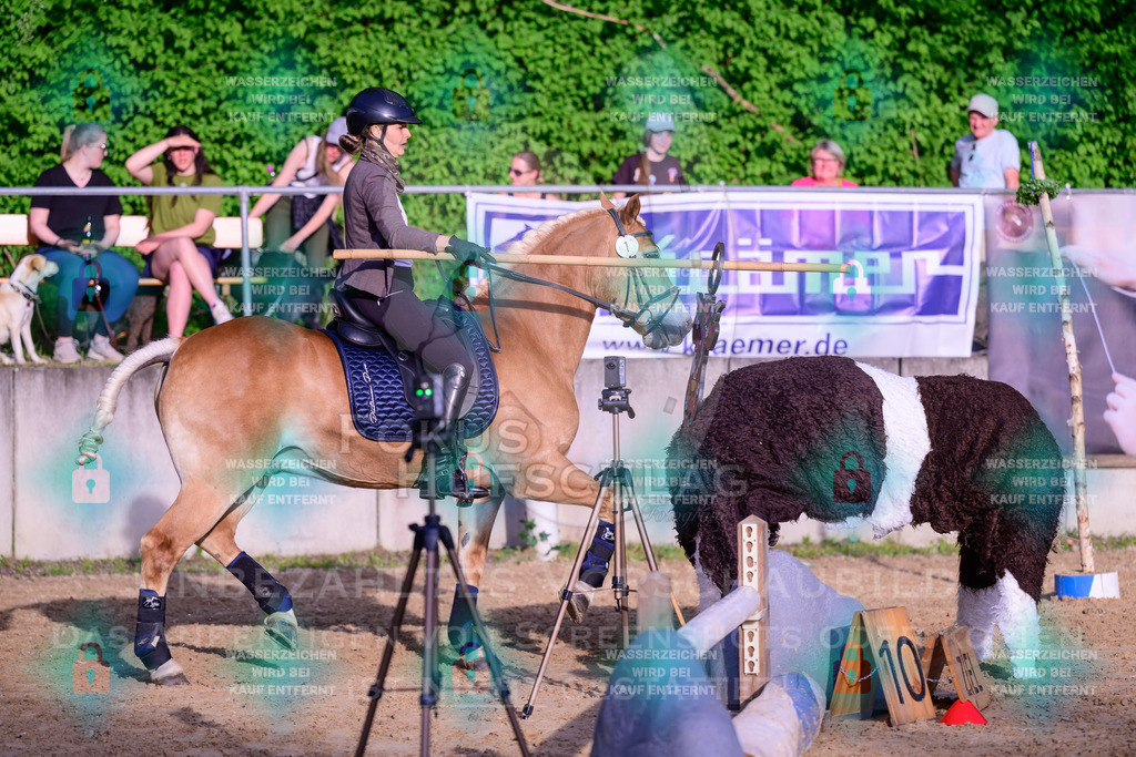 02052026-Giesenbach-03-Speedtrail-0885 | Fokus Hufschlag Fotografie - Realisiert mit Pictrs.com