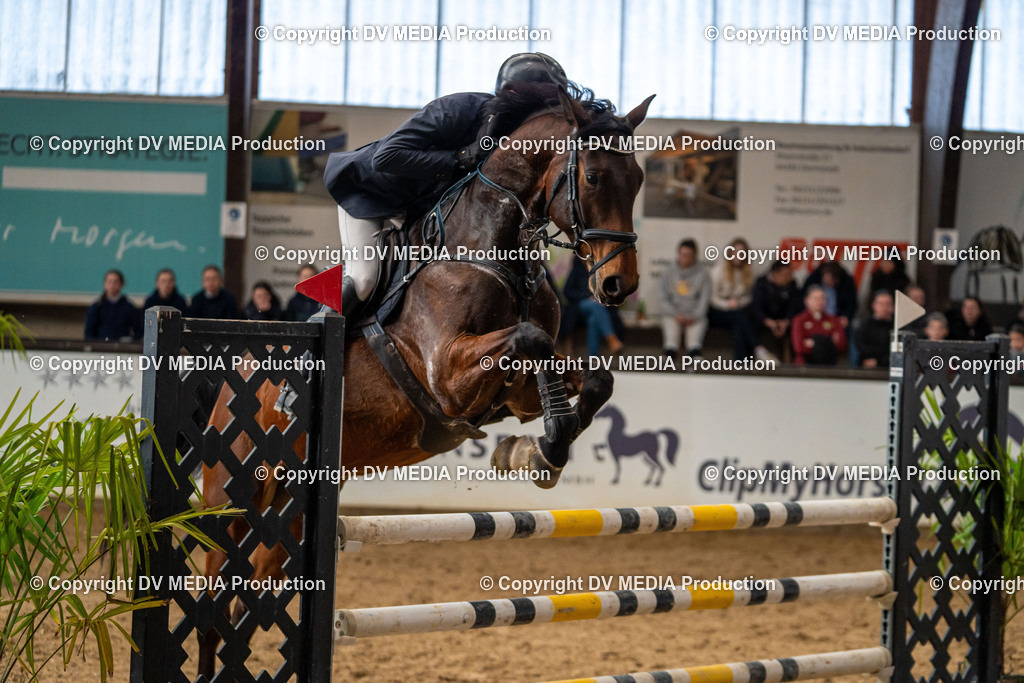 Kranichstein Tag 2-466 | dv-media-shop - Realisiert mit Pictrs.com