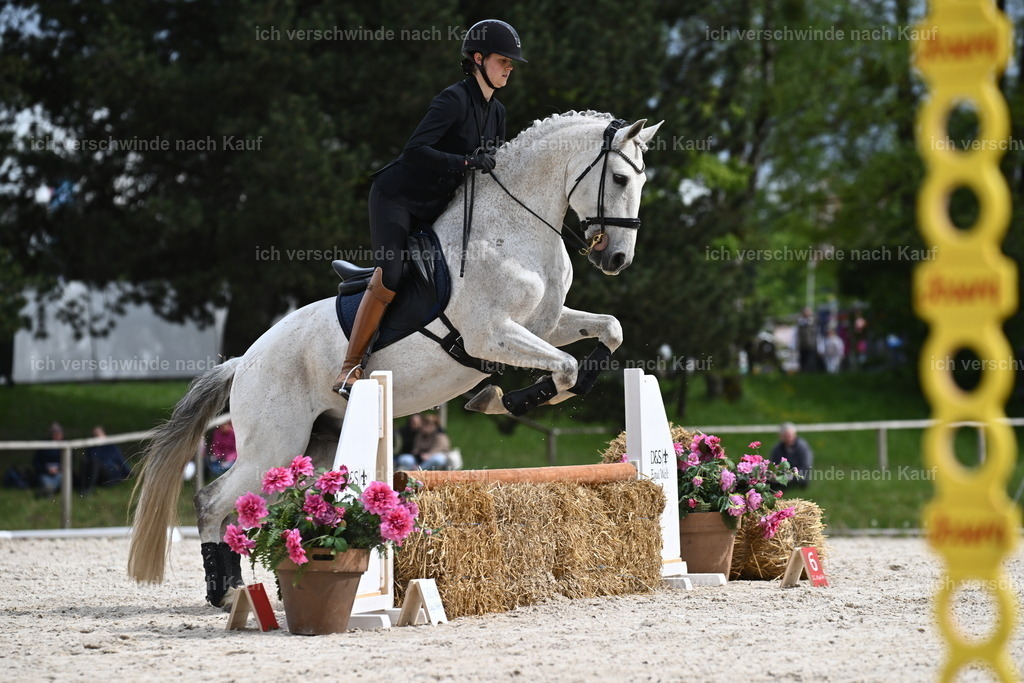 PI26_ST_Sara_Landvogt226_4005.JPG | working equitationturnier fotograf videograf stoibphotography marixx film working equitation deutschland reitsport turnierfotografie eventfotografie equestrian events