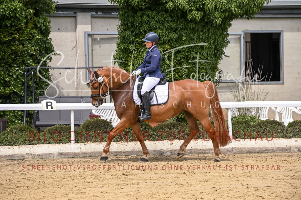 Schugtsche-Aluta25-55.Dressurreiterprf.L1Tr-81 | Schugtsche Fotografie - Realisiert mit Pictrs.com