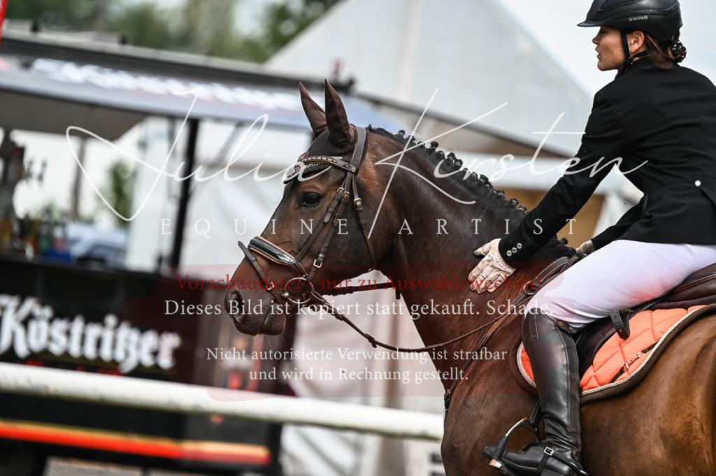 DSC_8273 | Pferde- und Turnierfotografie in Westsachsen. Pferdeportraits, Auftragszeichnungen und intuitive Kunst.